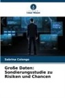 Sabrina Colongo - Große Daten: Sondierungsstudie zu Risiken und Chancen