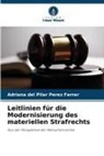 Adriana del Pilar Pérez Ferrer - Leitlinien für die Modernisierung des materiellen Strafrechts
