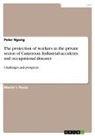 Peter Ngong - The protection of workers in the private sector of Cameroon. Industrial accidents and occupational diseases