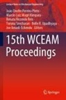Joe Amadi-Echendu, Marcio Luiz Magri Kimpara, Marcio Luiz Magri Kimpara, João Onofre Pereira Pinto, Renata Rezende Reis, Ren Rezende Reis et al... - 15th WCEAM Proceedings