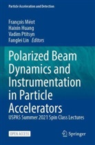 Haixin Huang, Fanglei Lin, François Méot, Vadim Ptitsyn, Vadim Ptitsyn et al - Polarized Beam Dynamics and Instrumentation in Particle Accelerators