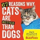 Jack Shepherd - 67 Reasons Why Cats Are Better Than Dogs