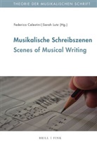 Federico Celestini, Lutz, Sarah Lutz - Musikalische Schreibszenen