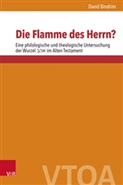 David Bindrim, Angelika Berlejung, Jan Dietrich, Enr Jiménez, Enrique Jiménez - Die Flamme des Herrn?