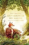 Mickaël Brun-Arnaud, Mikaël Brun-Arnaud, Sanoe, Sanoe, Julia Süßbrich - Erinnerungen des Waldes