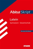 Thomas Dold, Frank Lüngen - STARK Latein - AbiturSkript