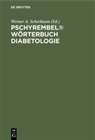Werner A. Scherbaum - Pschyrembel® Wörterbuch Diabetologie