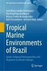 Moacyr Cunha de Araújo Filho, Cunha de Araújo Filho e, José Maria Landim Dominguez, Moacyr Cunha de Araújo Filho, Ruy Kenji Papa de Kikuchi, Ruy Kenji Papa de Kikuchi... - Tropical Marine Environments of Brazil