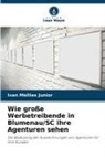 Ivan Mellies Junior - Wie große Werbetreibende in Blumenau/SC ihre Agenturen sehen