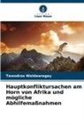 Tewodros Woldearegay - Hauptkonfliktursachen am Horn von Afrika und mögliche Abhilfemaßnahmen
