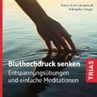 Philipp Feichtinger, Abbas Schirmohammadi, Abbas Schirmohammadi - Bluthochdruck senken (Audio-CD mit Booklet) (Hörbuch)