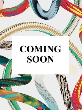 Marieke de Winkel, Volker Manuth, Rudie van Leeuwen - Rembrandt : tout l'oeuvre peint