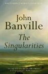 John Banville - The Singularities