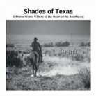 David Sechovicz - Shades of Texas