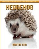 Odette Leo - Hedgehog