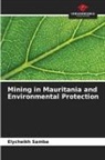 Elycheikh Samba - Mining in Mauritania and Environmental Protection