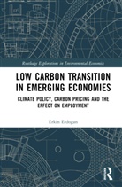 Erkin Erdogan, Erkin Erdoğan - Low Carbon Transition in Emerging Economies