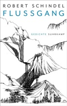 Robert Schindel - Flussgang