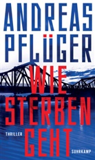 Andreas Pflüger - Wie Sterben geht
