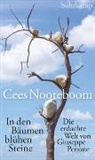 Cees Nooteboom, Giuseppe Penone, Guiseppe Penone, Simone Sassen - In den Bäumen blühen Steine