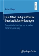 Stefan Mayer - Qualitative und quantitative Eigenkapitalanforderungen