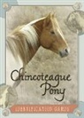 Lois Szymanski - Chincoteague Pony Identification Cards