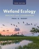 Paul A. Keddy, Keddy Paul A. - Wetland Ecology