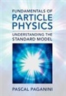 Pascal Paganini, Pascal (Ecole Polytechnique Paganini - Fundamentals of Particle Physics