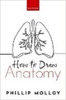 Dr Phillip (Accs Anaesthesia Core Trainee Molloy, Dr Phillip (St4 Anaesthetic Registraraccs Molloy, Phillip Molloy - How to Draw Anatomy