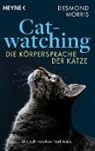 Desmond Morris - Catwatching