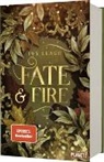 Ivy Leagh - Die Nordlicht-Saga 1: Fate and Fire