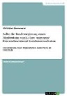 Christian Summerer - Sollte die Bundesregierung einen Mindestlohn von 12 Euro umsetzen? Unterrichtsentwurf Sozialwissenschaften