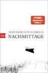 Ferdinand von Schirach - Nachmittage