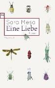 Sara Mesa - Eine Liebe