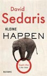 David Sedaris - Kleine Happen