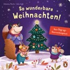 Johanna Moritz, Inka Vigh - So wunderbare Weihnachten! – Mein Pop-up-Überraschungsbuch