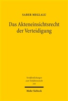 Saber Meglalu - Das Akteneinsichtsrecht der Verteidigung
