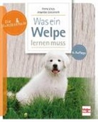Petra Krivy, Angelika Lanzerath - Was ein Welpe lernen muss
