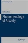 Stefano Micali - Phenomenology of Anxiety