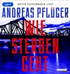 Andreas Pflüger, Britta Steffenhagen - Wie Sterben geht, 2 Audio-CD, 2 MP3 (Hörbuch)