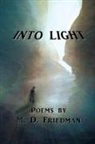 M. D. Friedman - Into Light