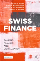 Pasc Gantenbein, Pascal A. Gantenbein, John E Marthinsen, John E. Marthinsen, Henri B Meier, Henri B. Meier... - Swiss Finance
