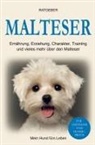 Mein Hund fürs Leben Ratgeber - Malteser
