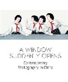 Melissa Johnson Chiu, Melissa Chiu, Chiu Melissa, Betsy Johnson, Johnson Betsy - Window Suddenly Opens