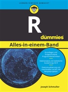 Judith Muhr, Joseph Schmuller - R Alles-in-einem-Band für Dummies