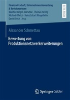 Alexander Schmettau - Bewertung von Produktionsnetzwerkerweiterungen