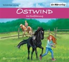 Rosa Schwarz, Rubina Nath - Ostwind - Die Entführung, 3 Audio-CD (Audio book)