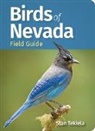 Stan Tekiela - Birds of Nevada Field Guide