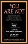 Stephen Wolinsky - You Are Not