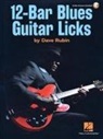 Dave Rubin - 12-bar Blues Guitar Licks